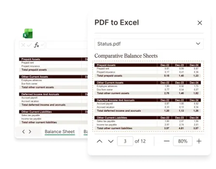 PDF to Excel tool converting a balance sheet PDF to an Excel spreadsheet.